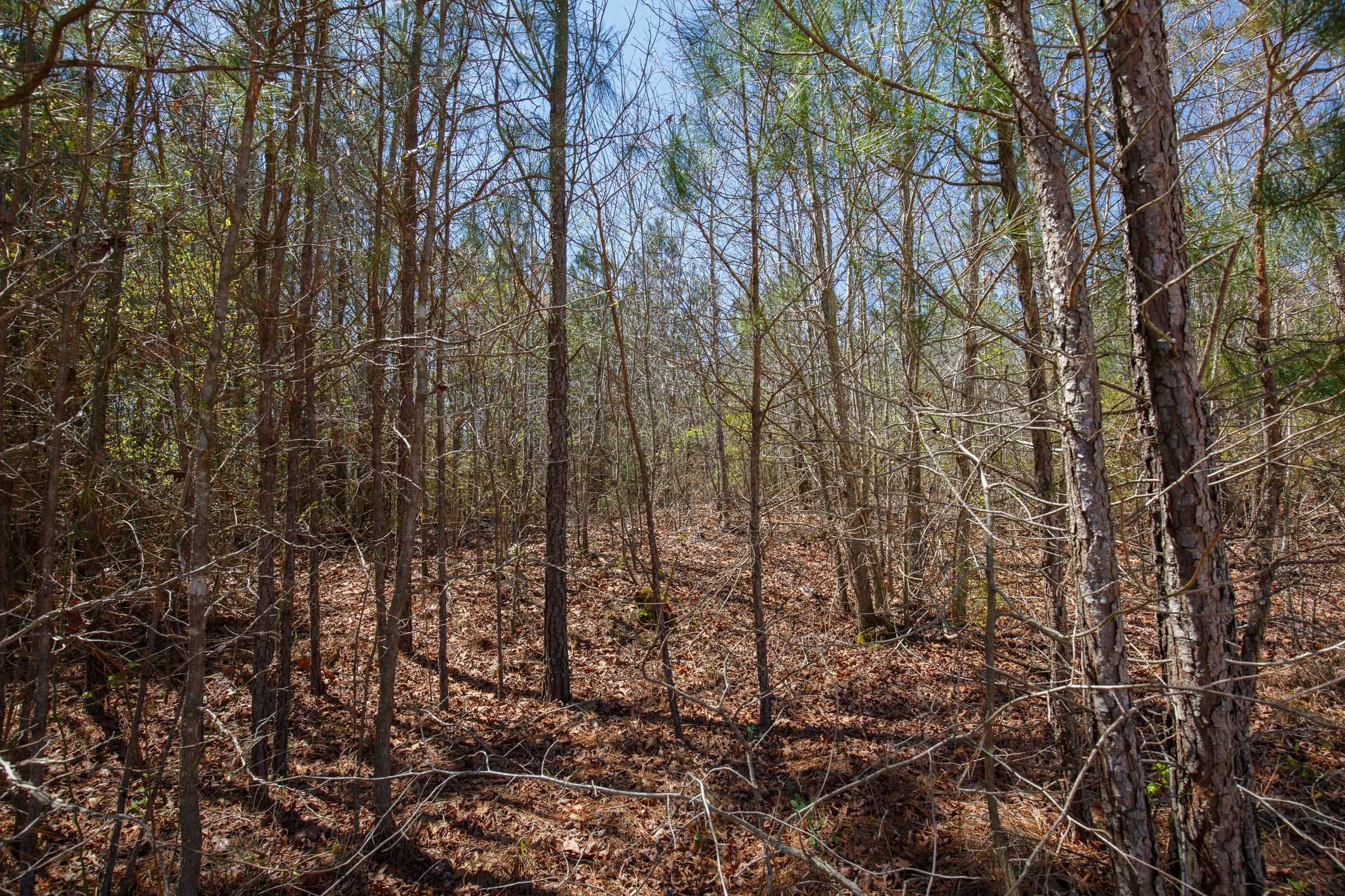 Southern Hills Tract 4 photo 12