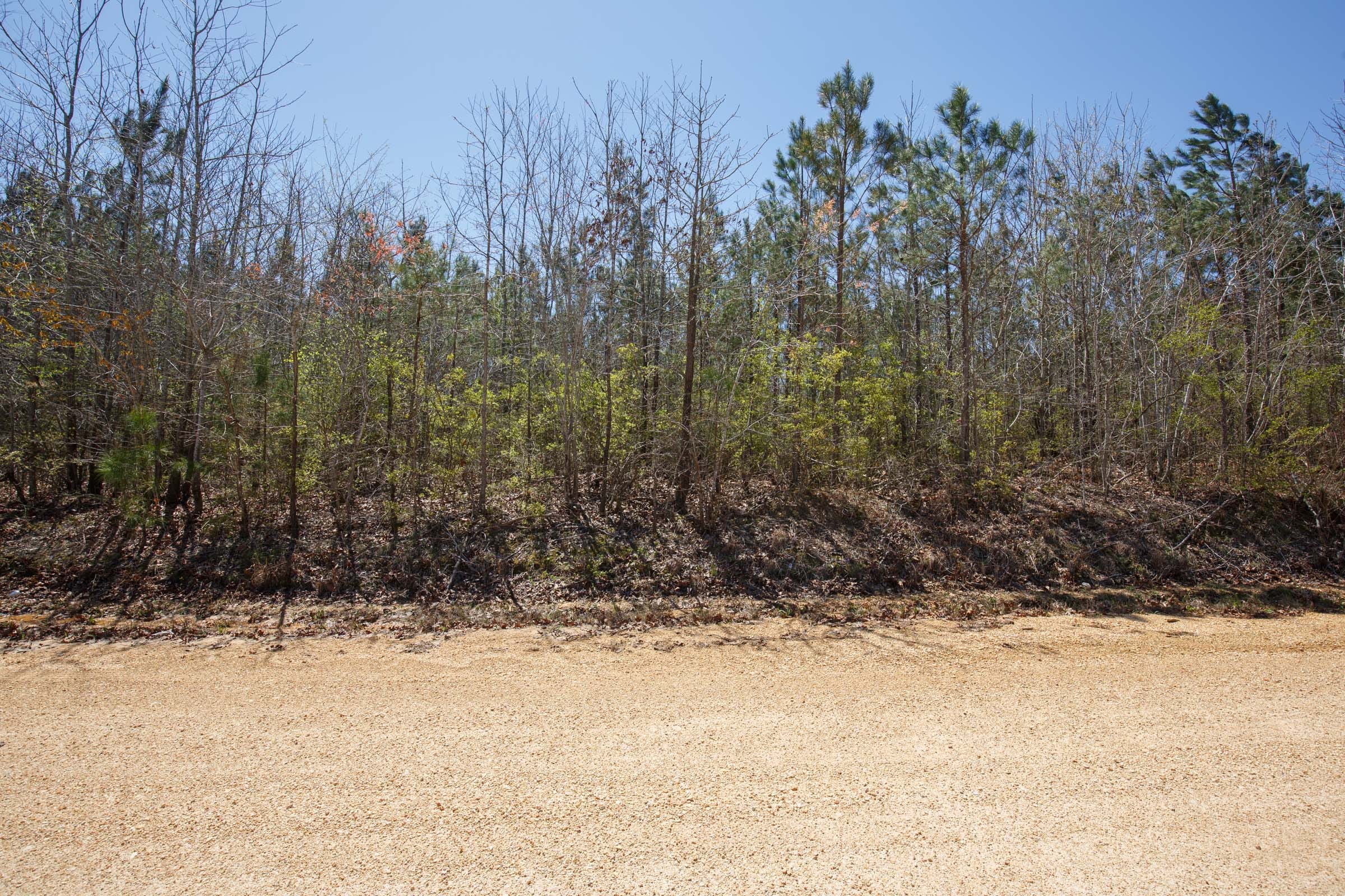 Southern Hills Tract 4 photo 15