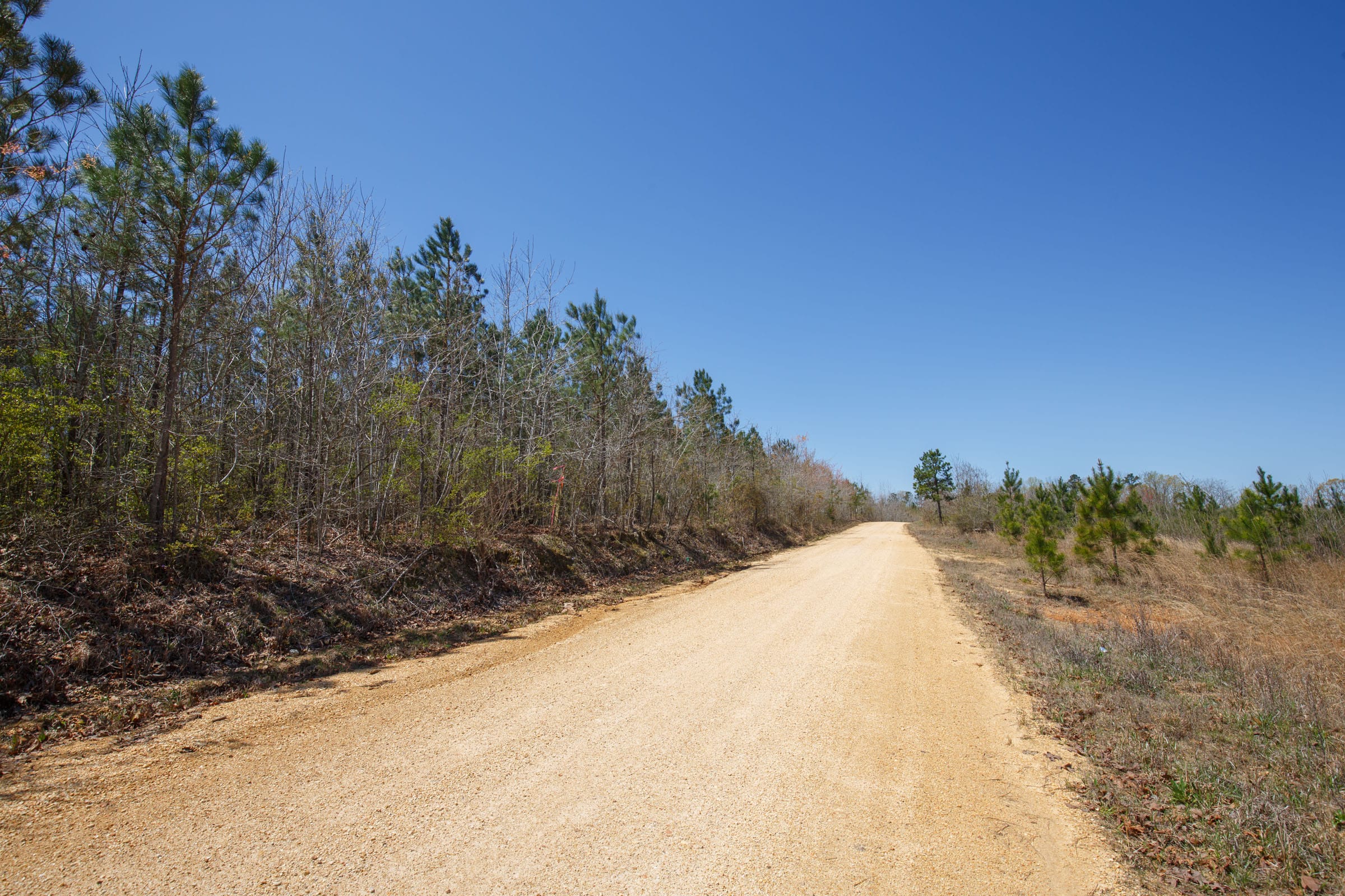 Southern Hills Tract 4 photo 11