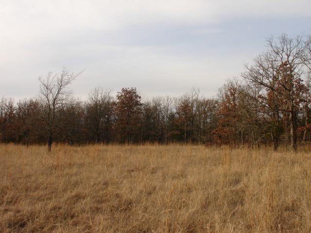 Mountain View Ranch Tract 8 photo 2