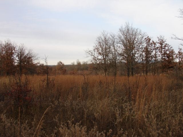Mountain View Ranch Tract 8 photo 3
