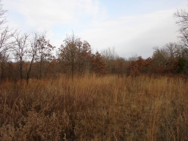 Mountain View Ranch Tract 8 photo 4