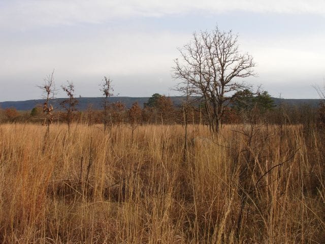 Mountain View Ranch Tract 8 photo 6