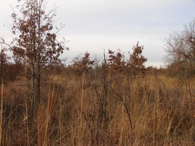 Mountain View Ranch Tract 8 photo 8