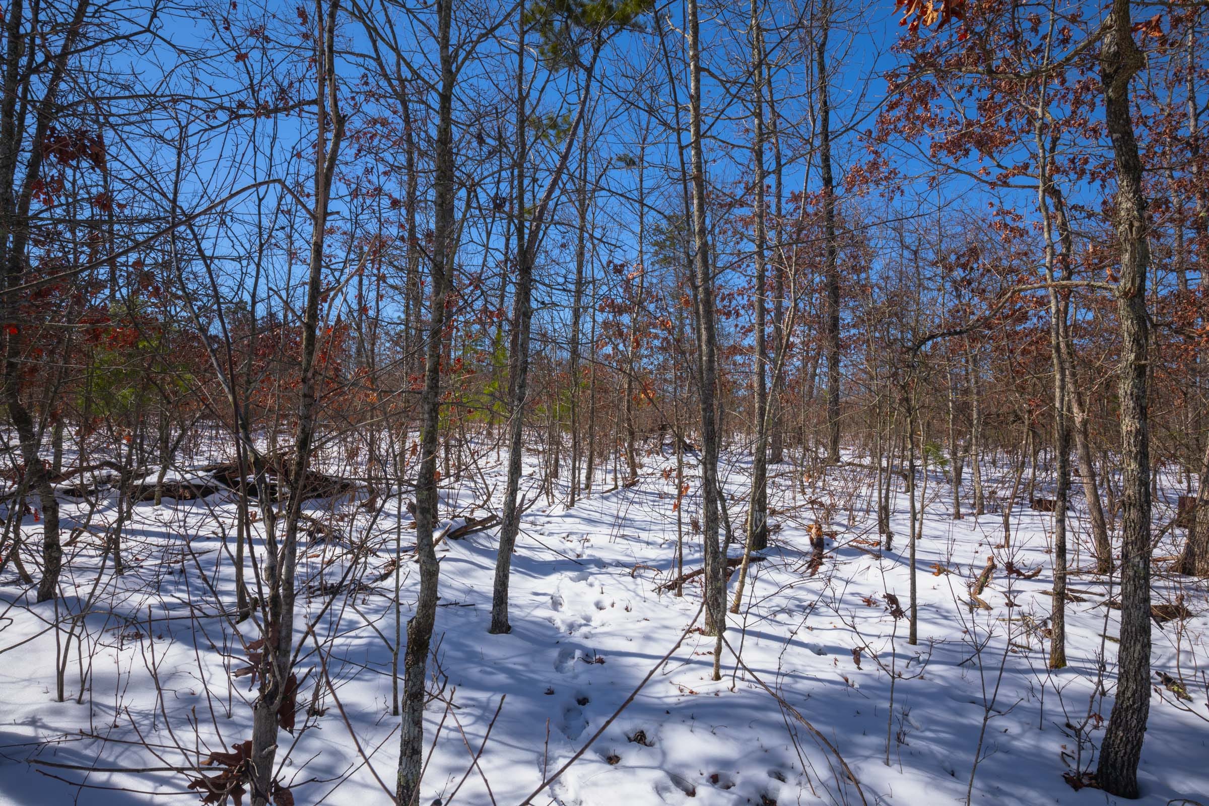 Sleepy Hollow Phase I Tract 56 photo 1