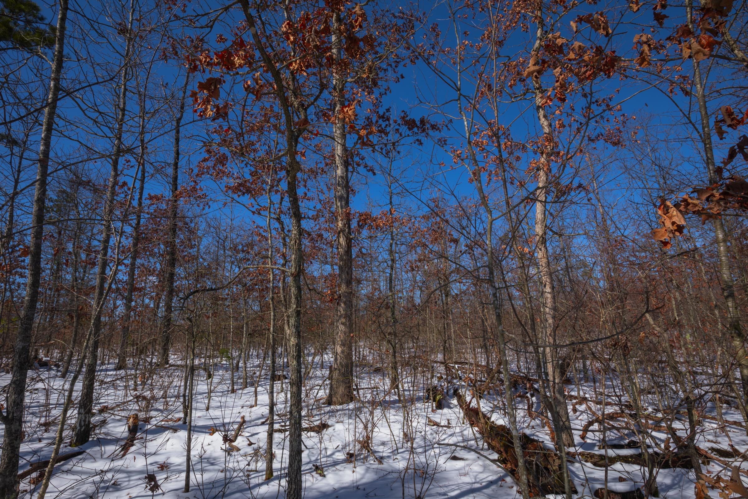 Sleepy Hollow Phase I Tract 56 photo 8