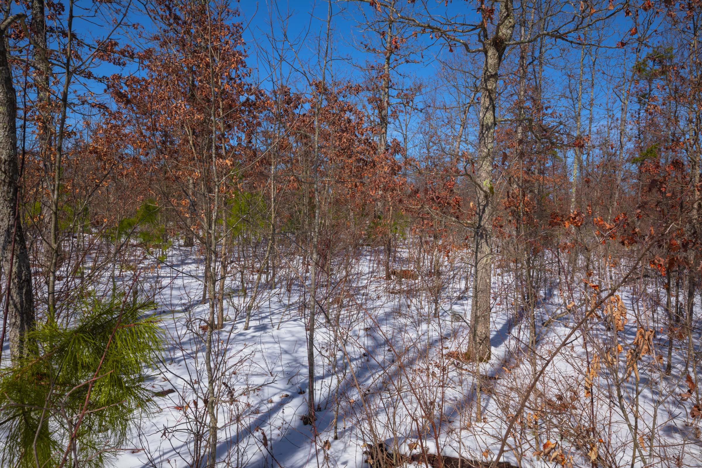 Sleepy Hollow Phase I Tract 56 photo 7
