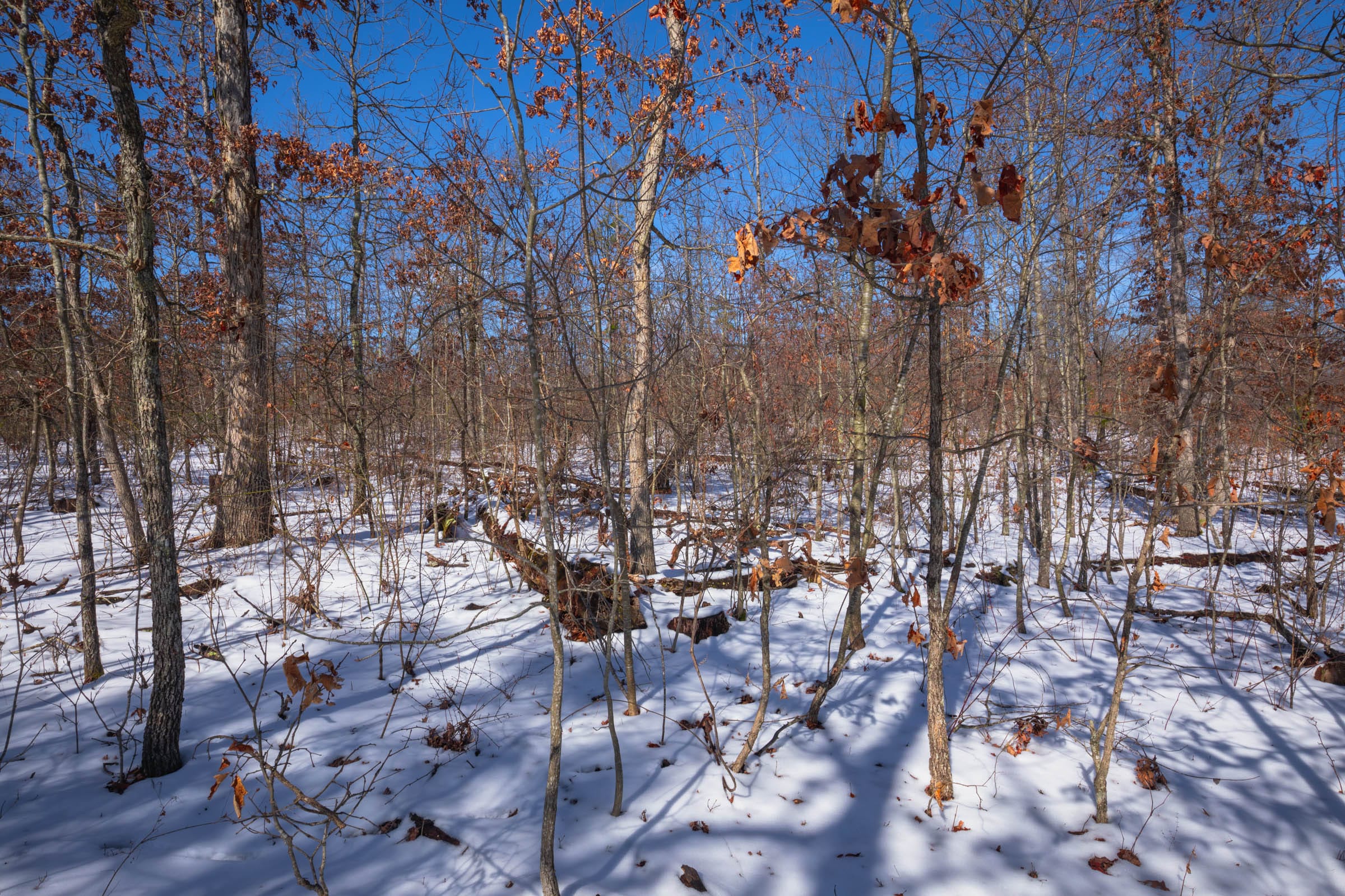 Sleepy Hollow Phase I Tract 56 photo 6