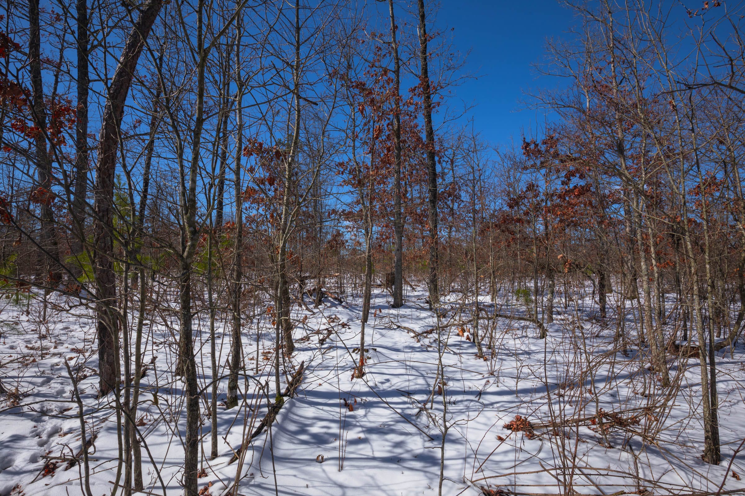 Sleepy Hollow Phase I Tract 56 photo 2