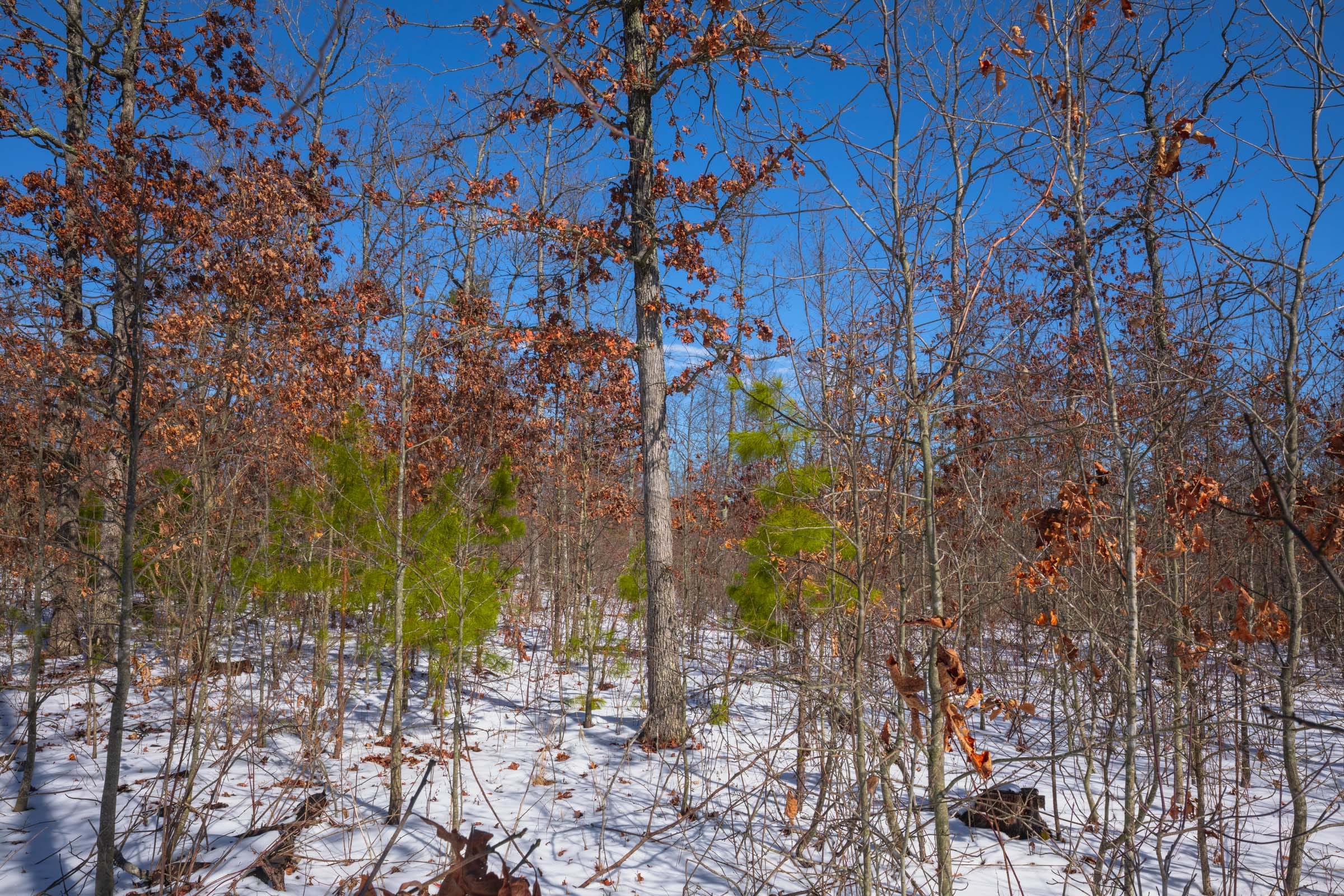 Sleepy Hollow Phase I Tract 56 photo 3