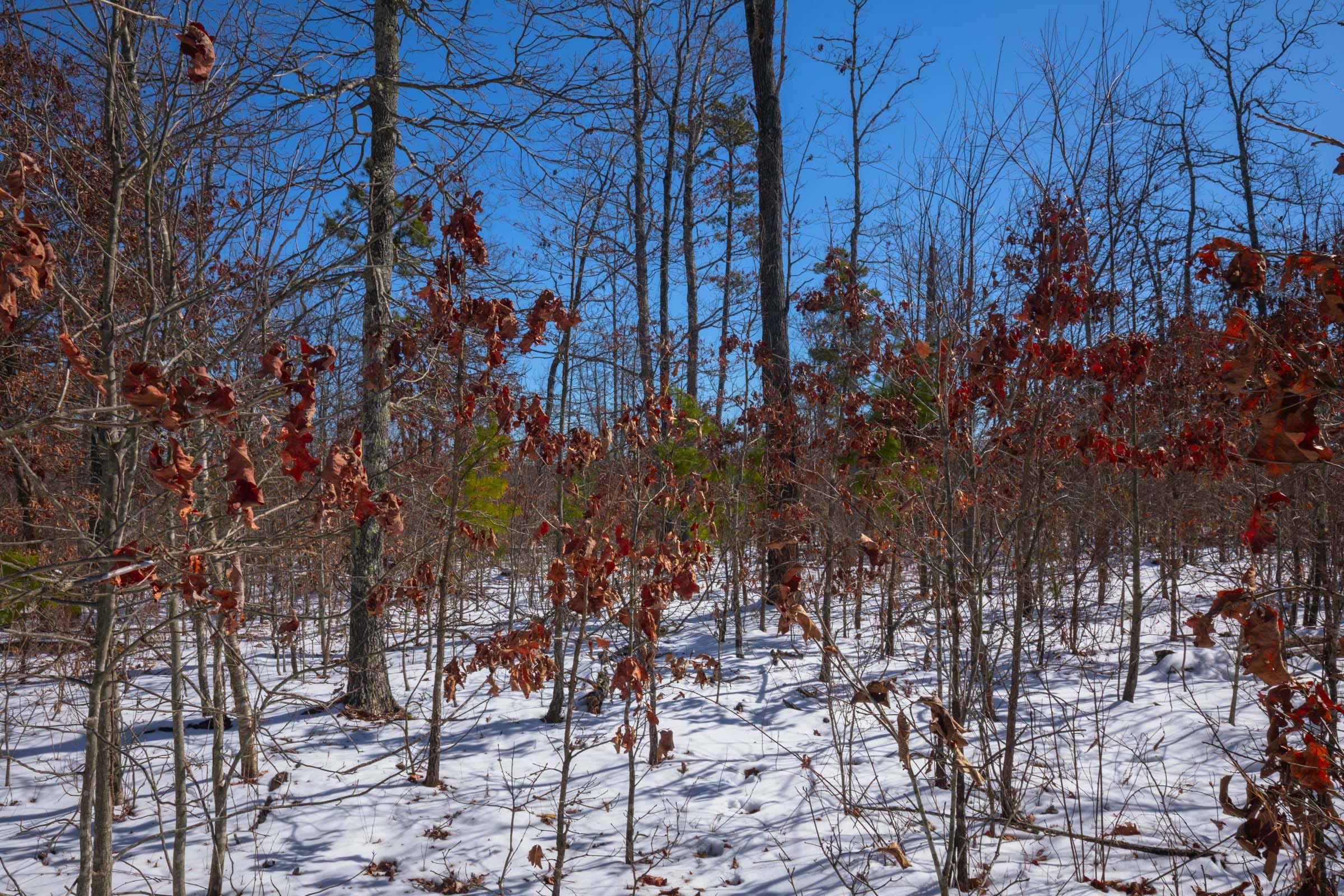 Sleepy Hollow Phase I Tract 56 photo 5