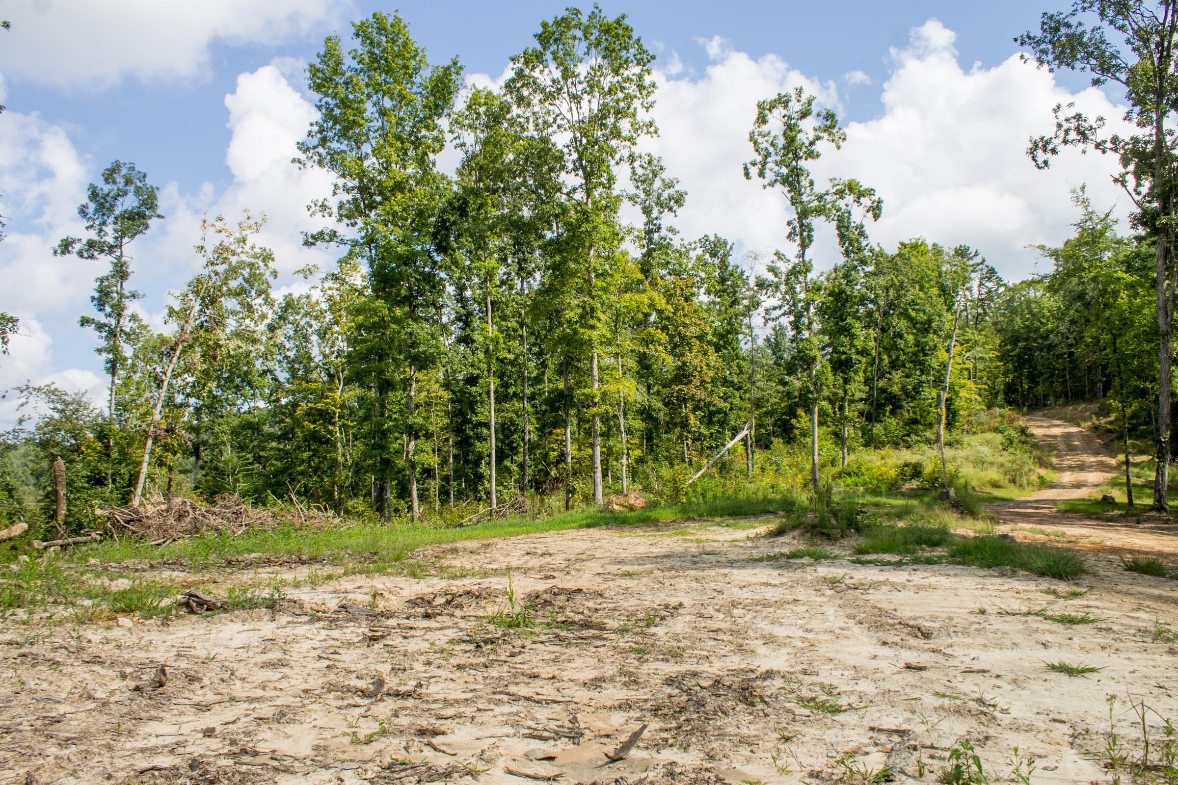 Buck Run Ridge Tract 22 photo 5