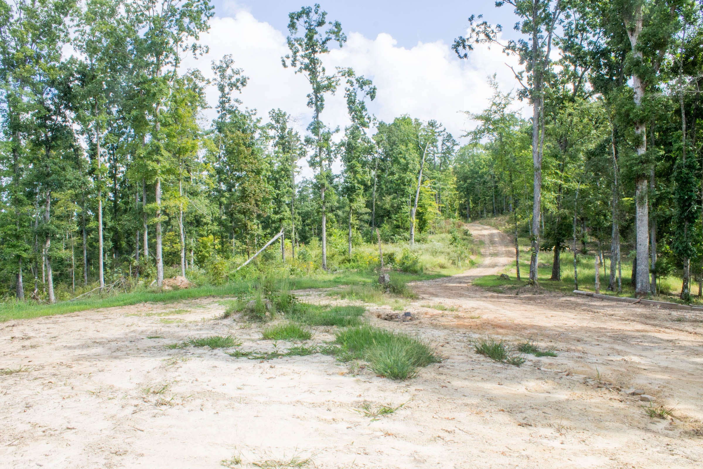 Buck Run Ridge Tract 22 photo 3