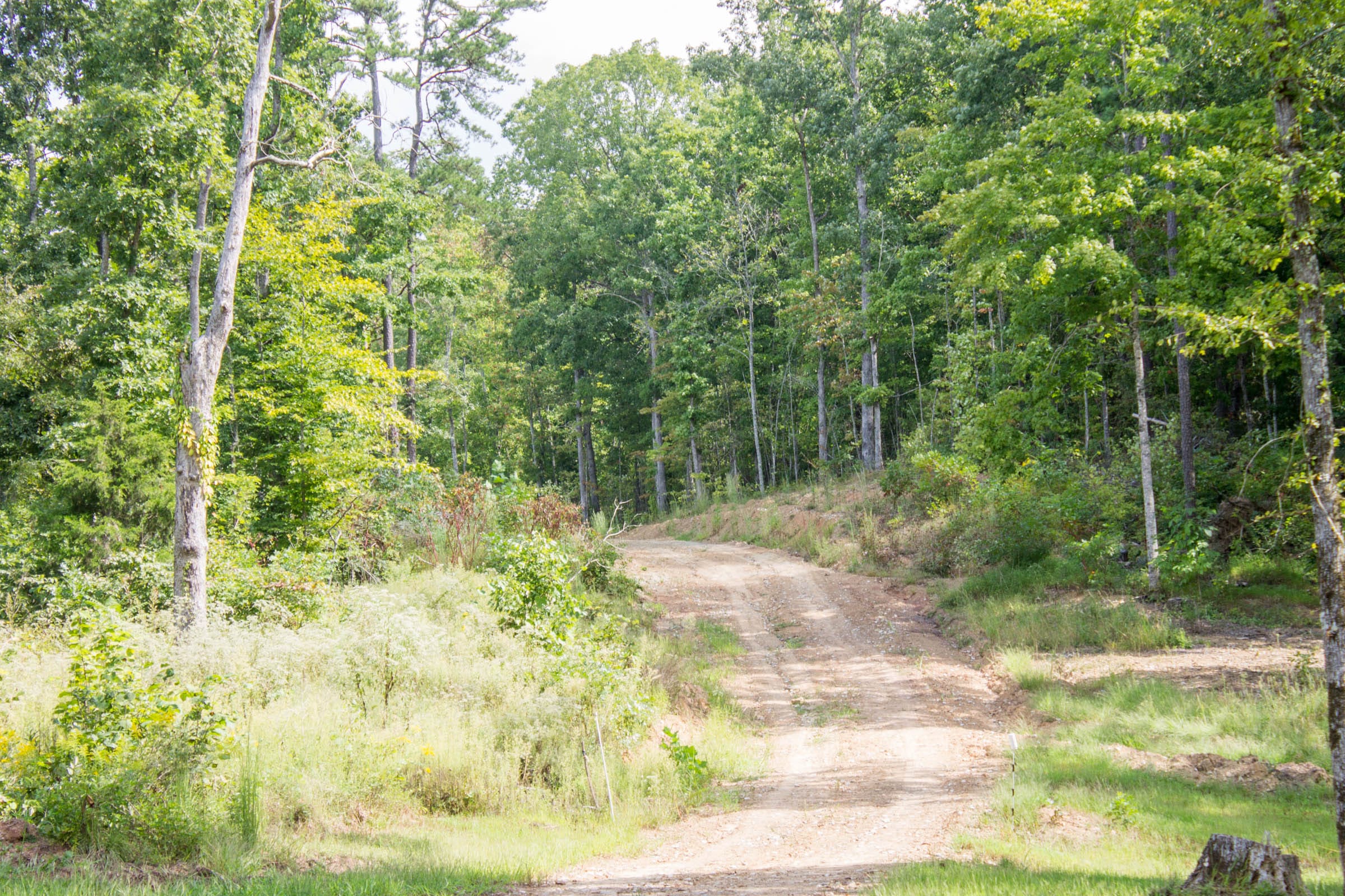 Buck Run Ridge Tract 22 photo 1