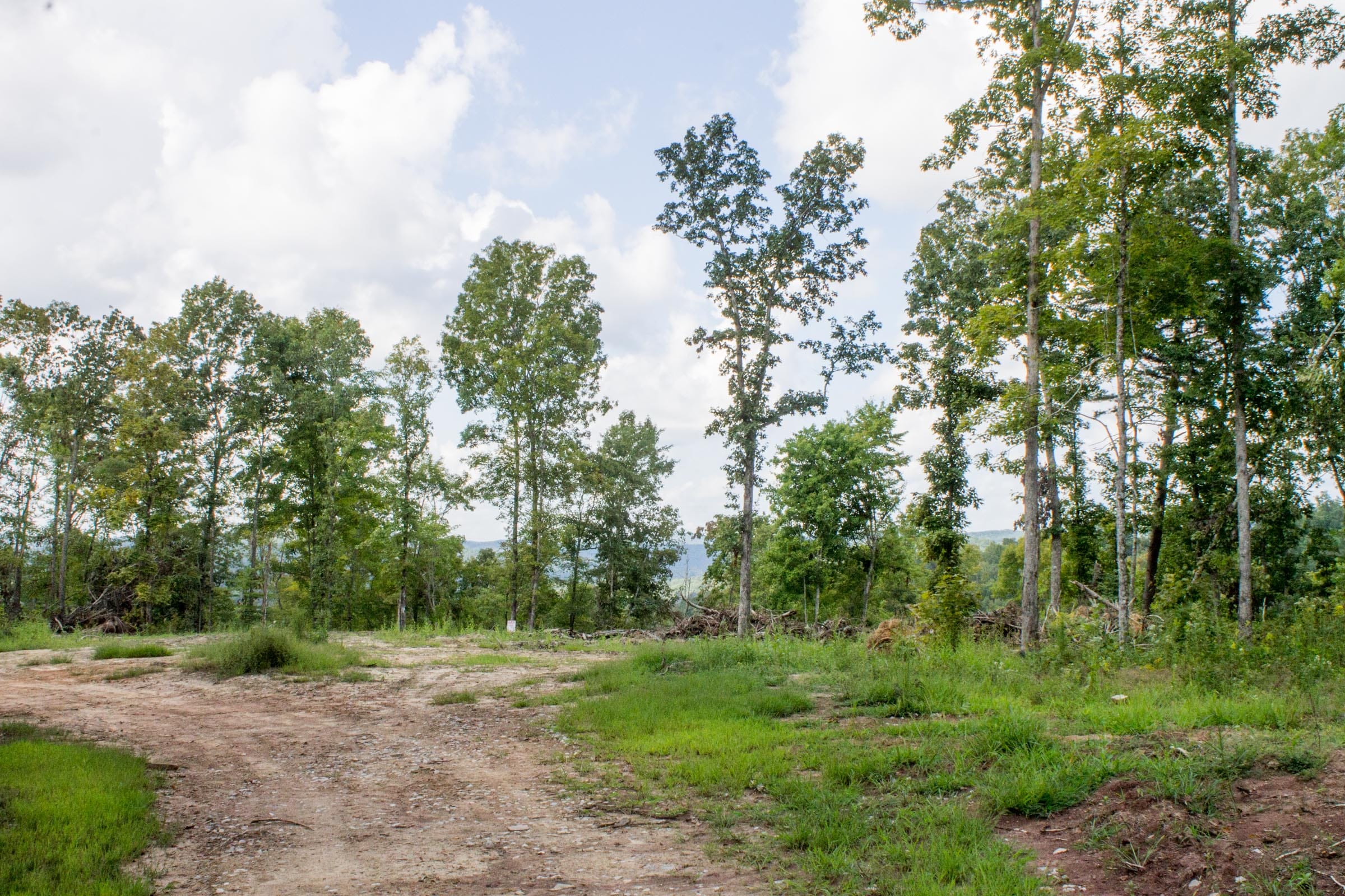 Buck Run Ridge Tract 22 photo 9