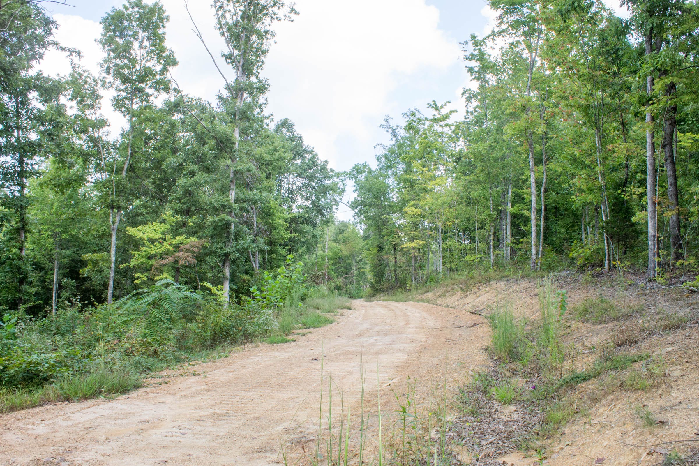 Buck Run Ridge Tract 22 photo 11