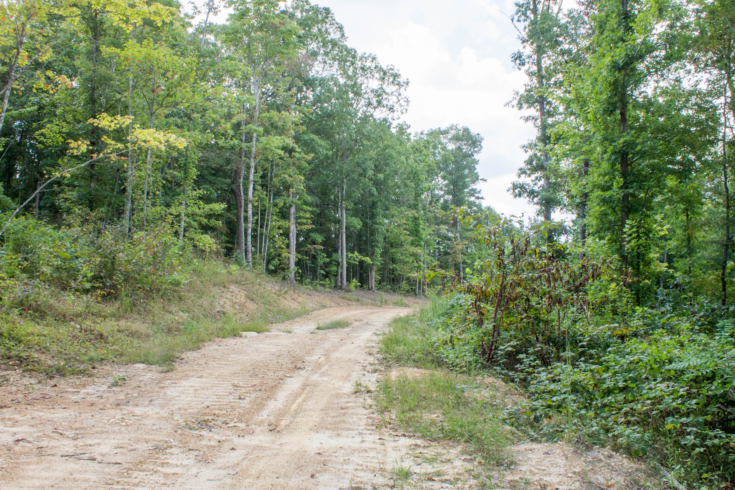 Buck Run Ridge Tract 22 photo 7