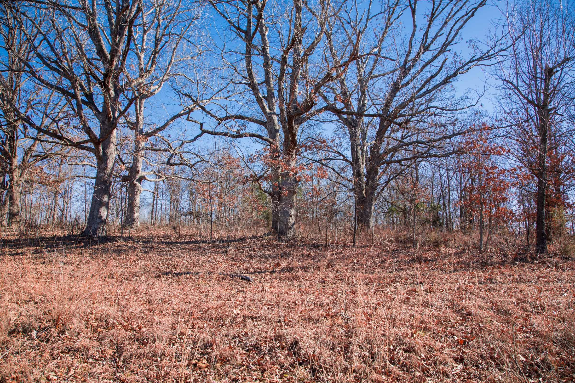 Buffalo Hills Tract 10 photo 2
