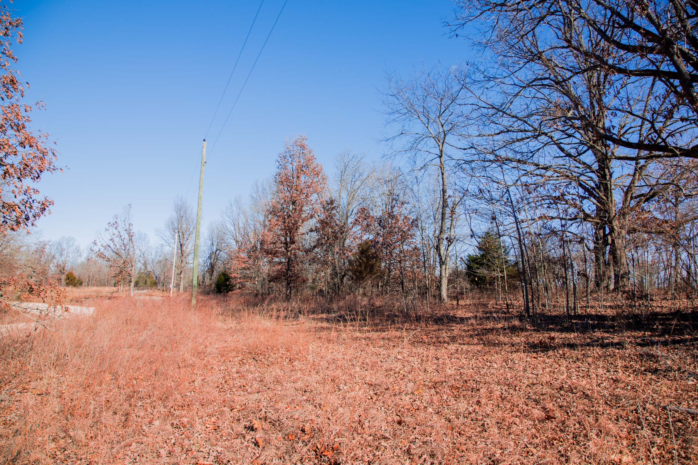 Buffalo Hills Tract 10 photo 3