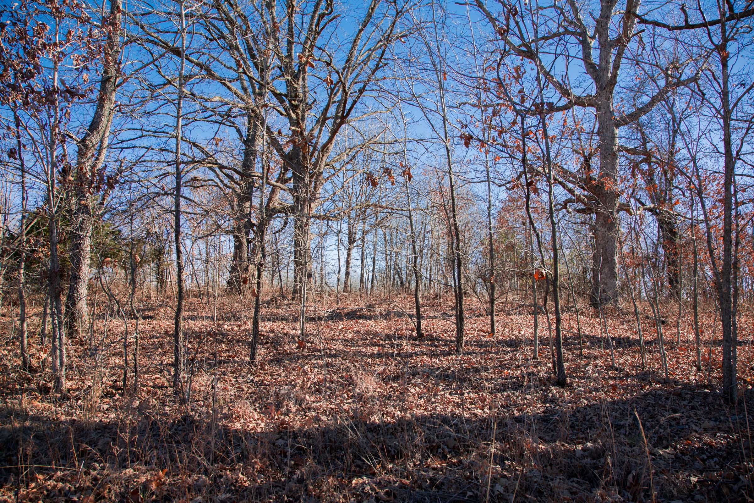 Buffalo Hills Tract 10 photo 5