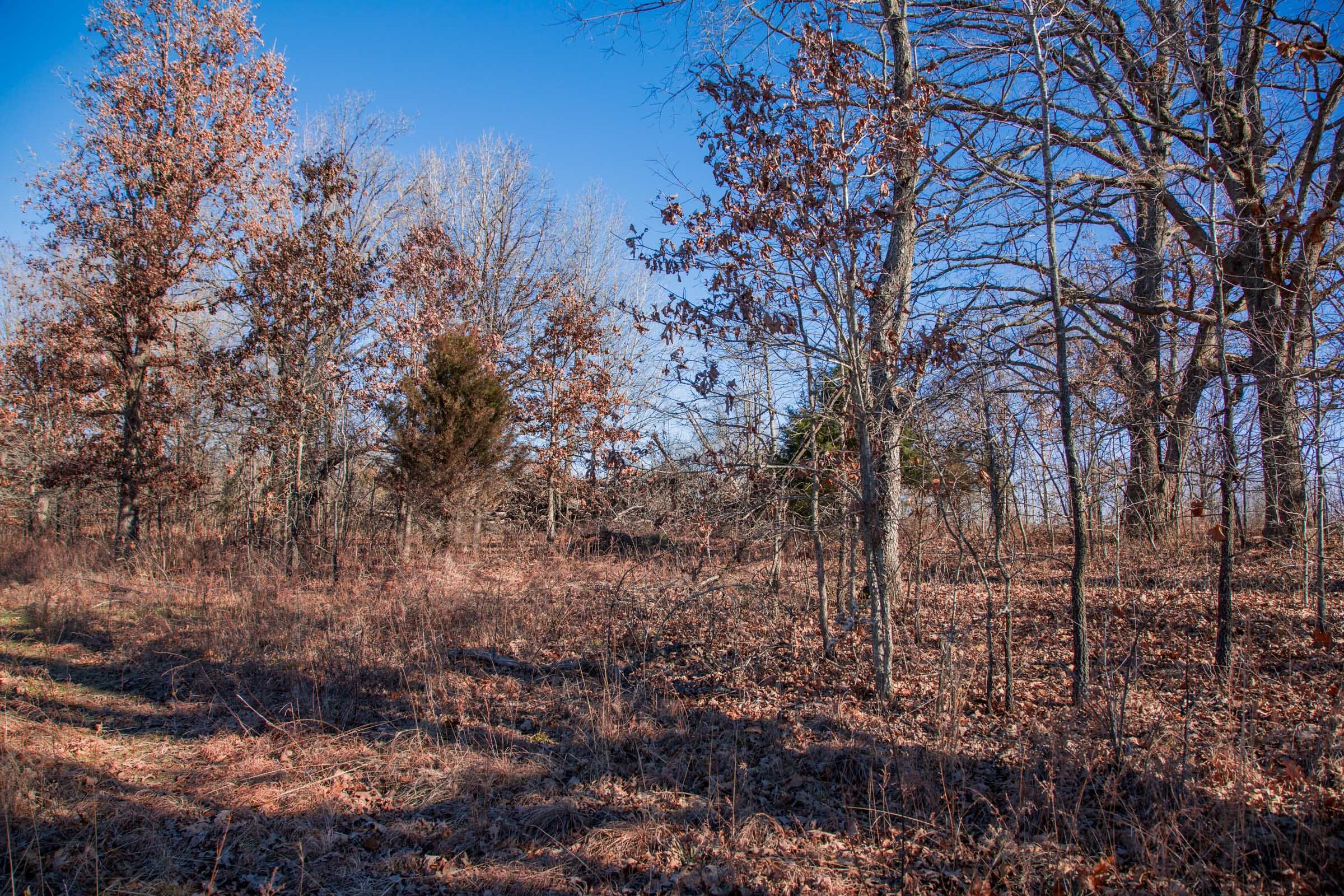 Buffalo Hills Tract 10 photo 6