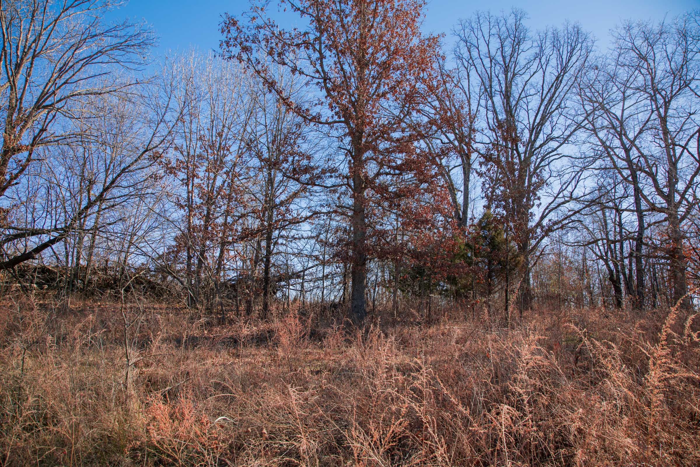 Buffalo Hills Tract 10 photo 7