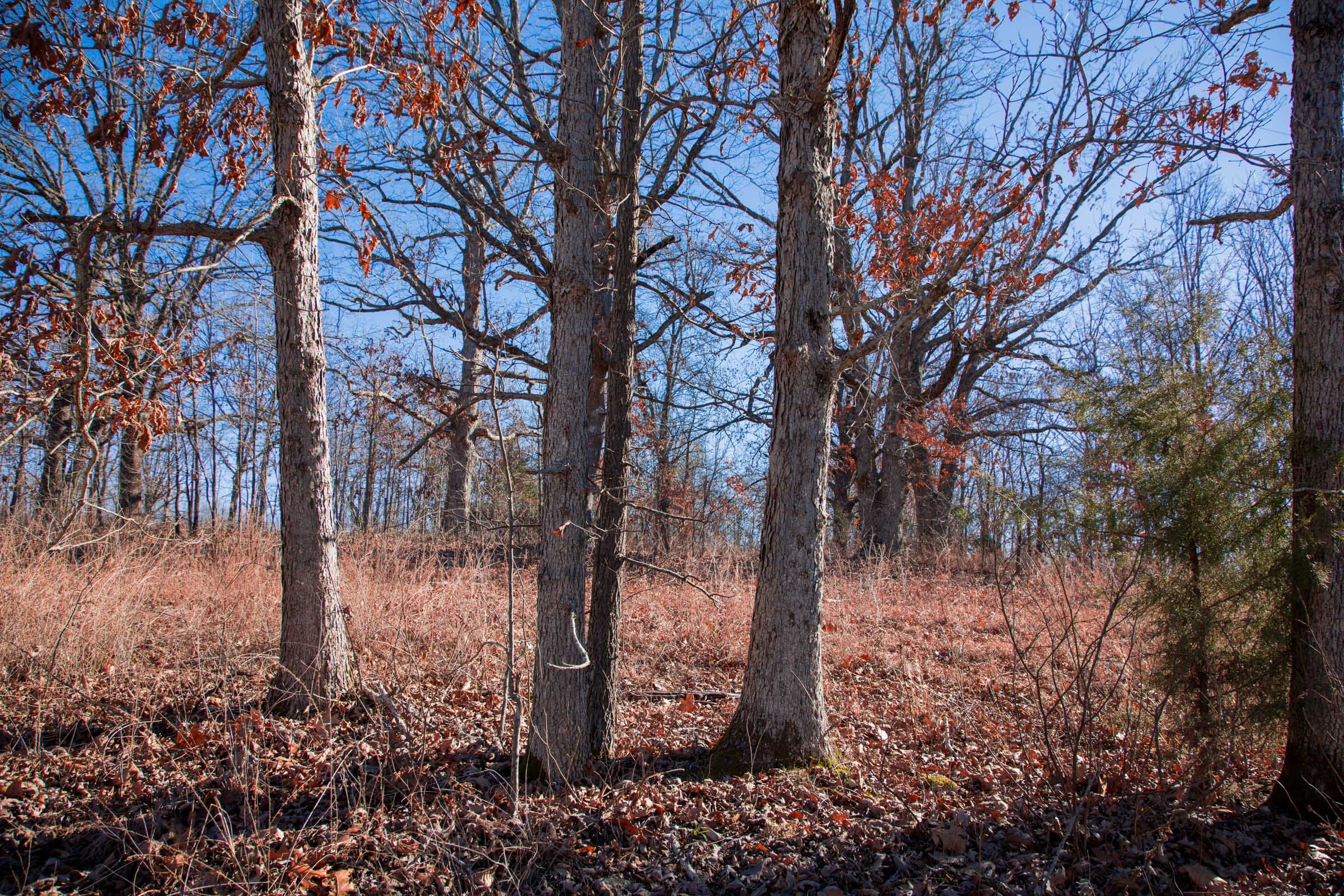 Buffalo Hills Tract 10 photo 8