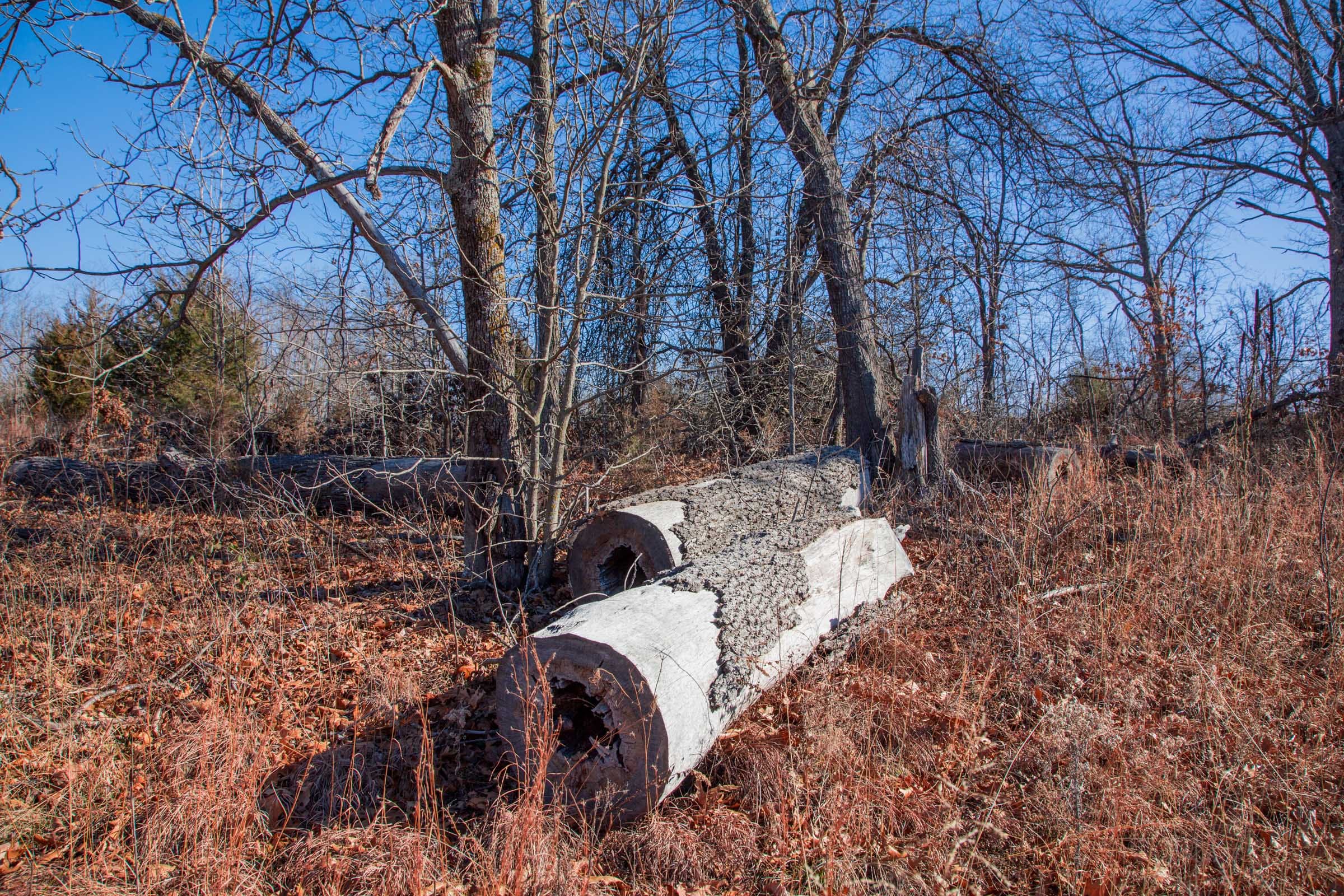 Buffalo Hills Tract 10 photo 12