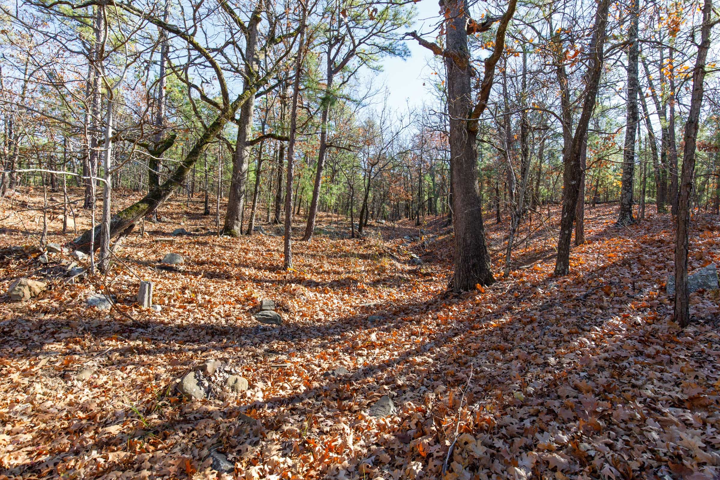 Stone Bridge Phase II Tract 128 photo 3