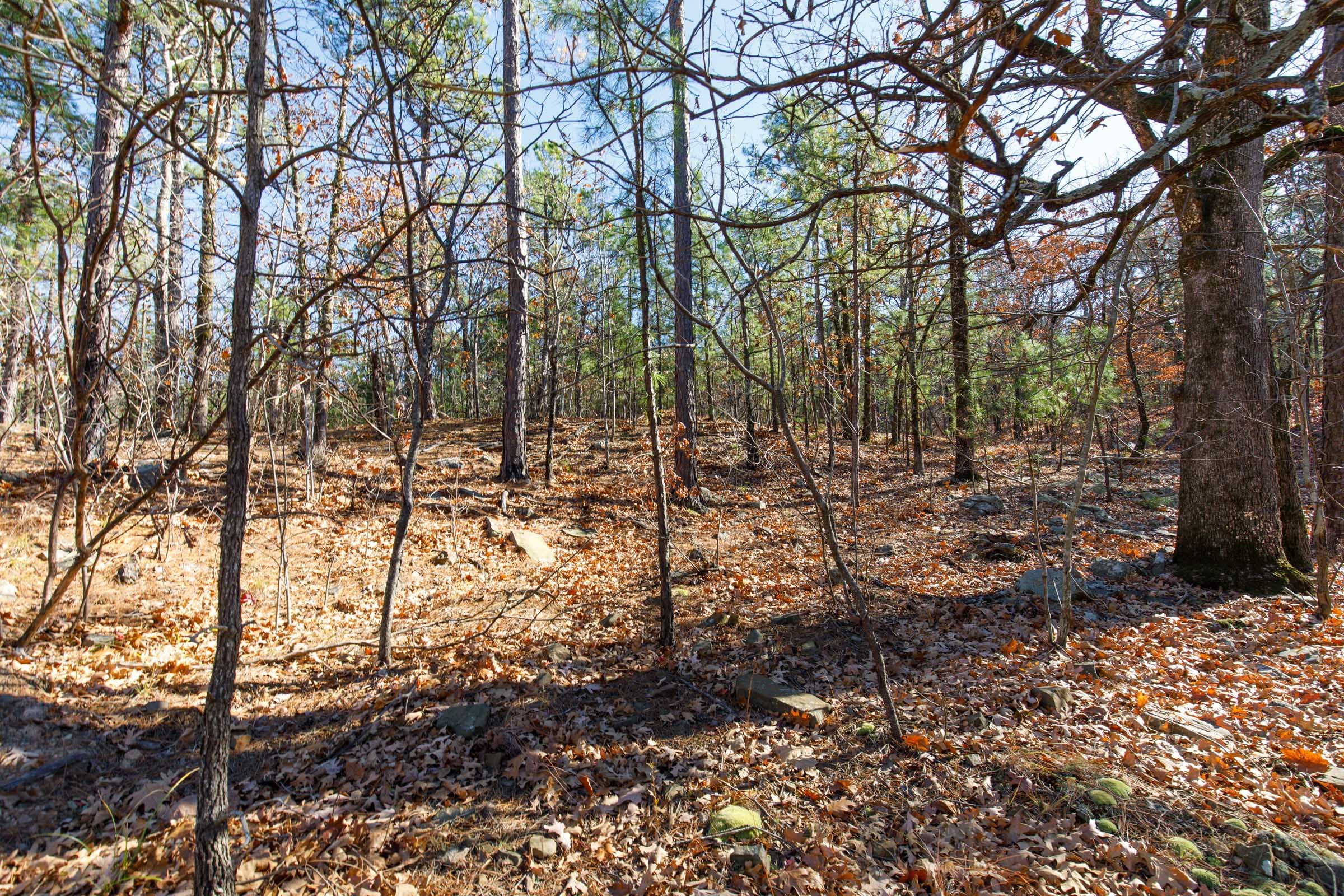 Stone Bridge Phase II Tract 128 photo 4