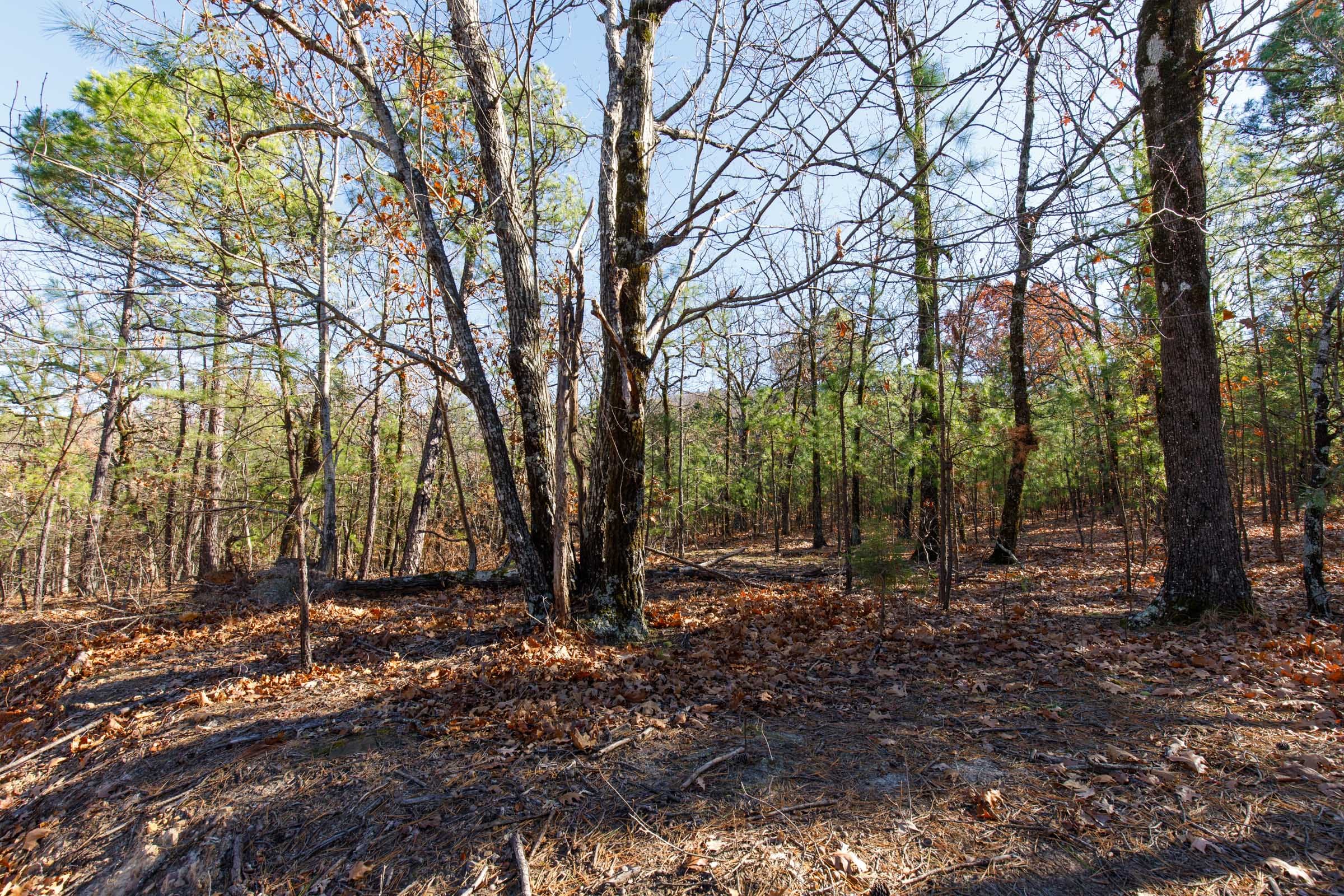 Stone Bridge Phase II Tract 128 photo 6