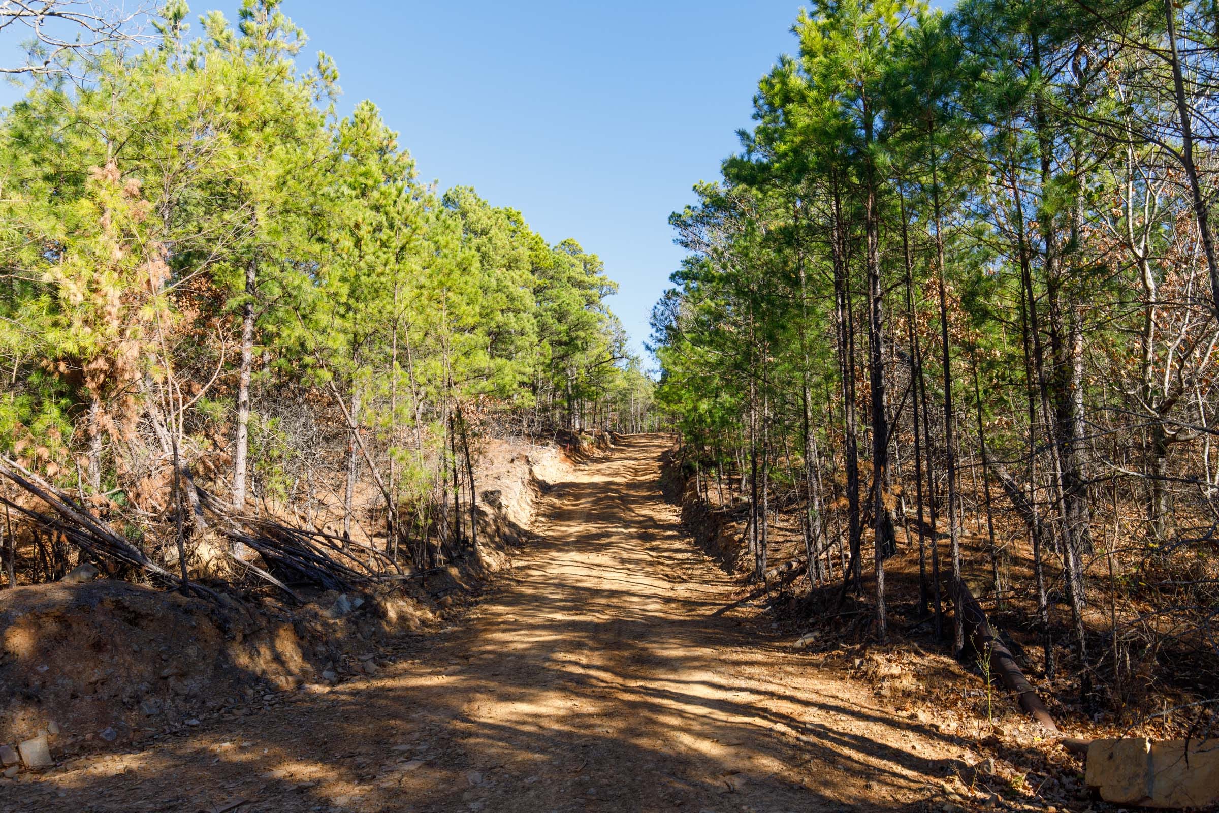 Stone Bridge Phase II Tract 128 photo 5