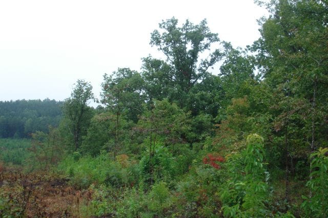 Sugartree Falls Tract 47 photo 4