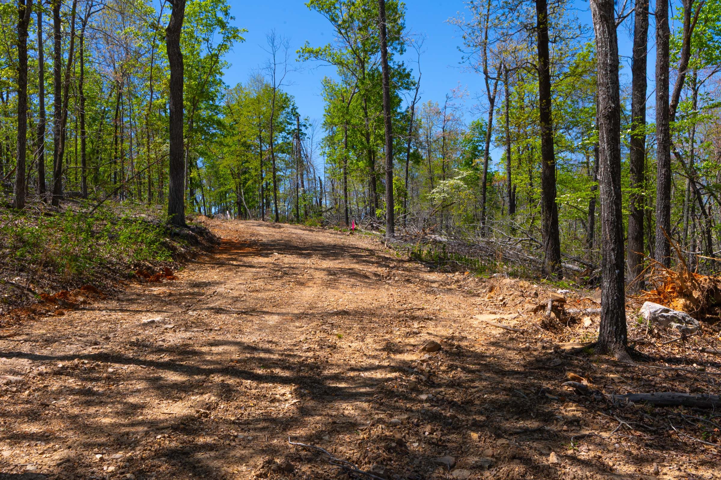 Lazybrook Tract 8 photo 4