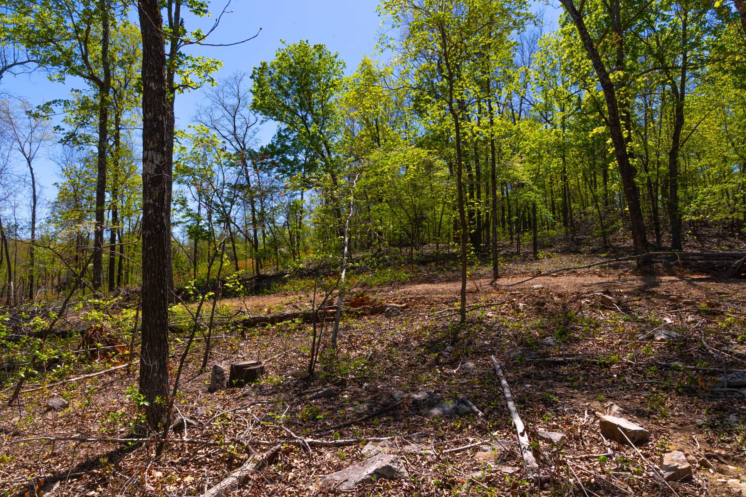 Lazybrook Tract 8 photo 7