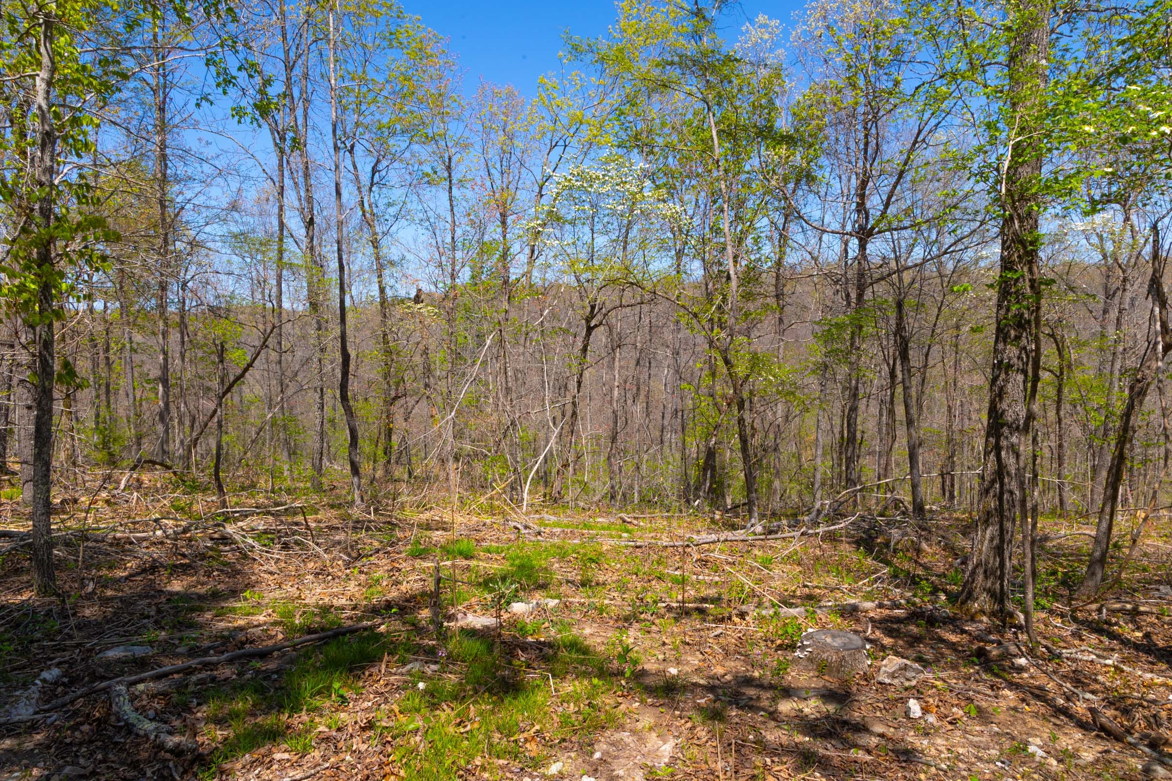 Lazybrook Tract 8 photo 3