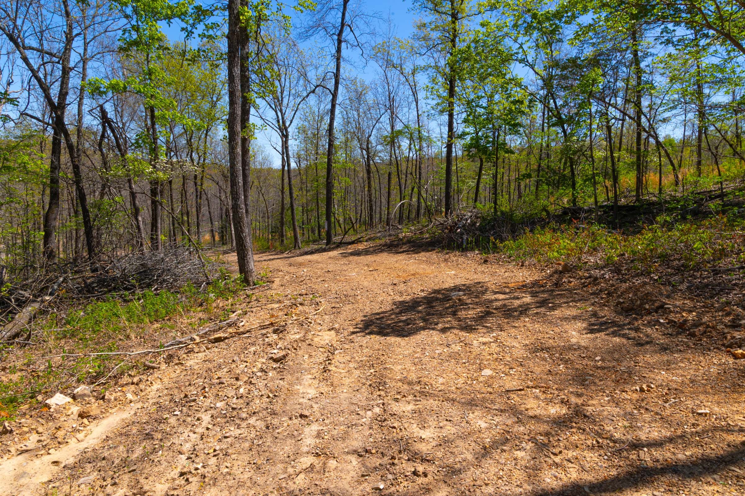 Lazybrook Tract 8 photo 2