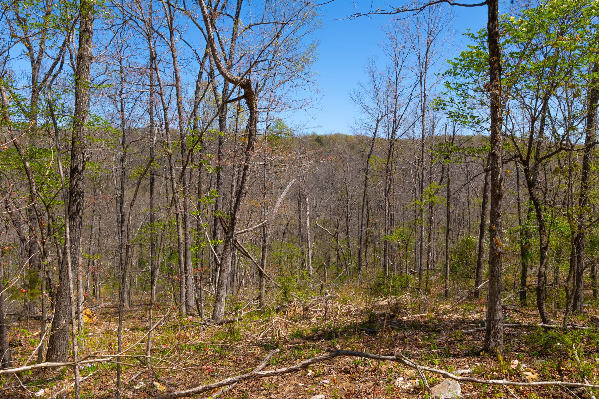 Lazybrook Tract 8 photo 1