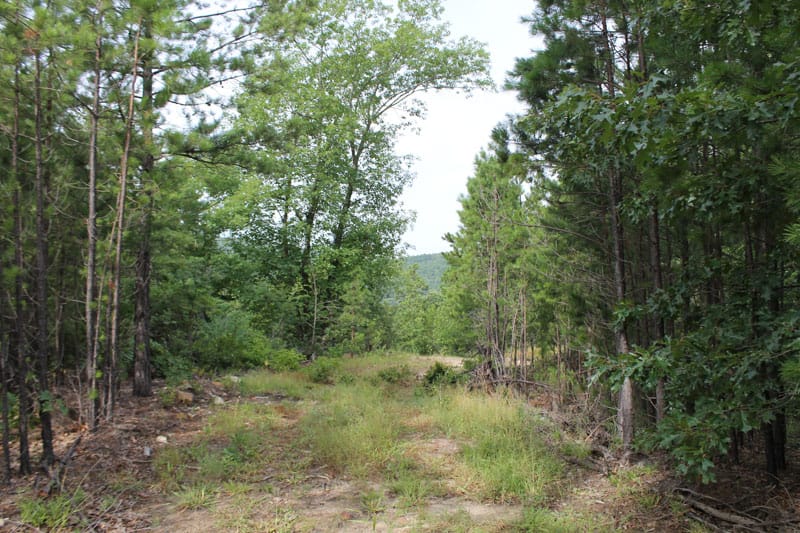 Trophy Ridge Phase III Tract 3 photo 1