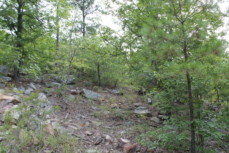 Trophy Ridge Phase III Tract 3 photo 9