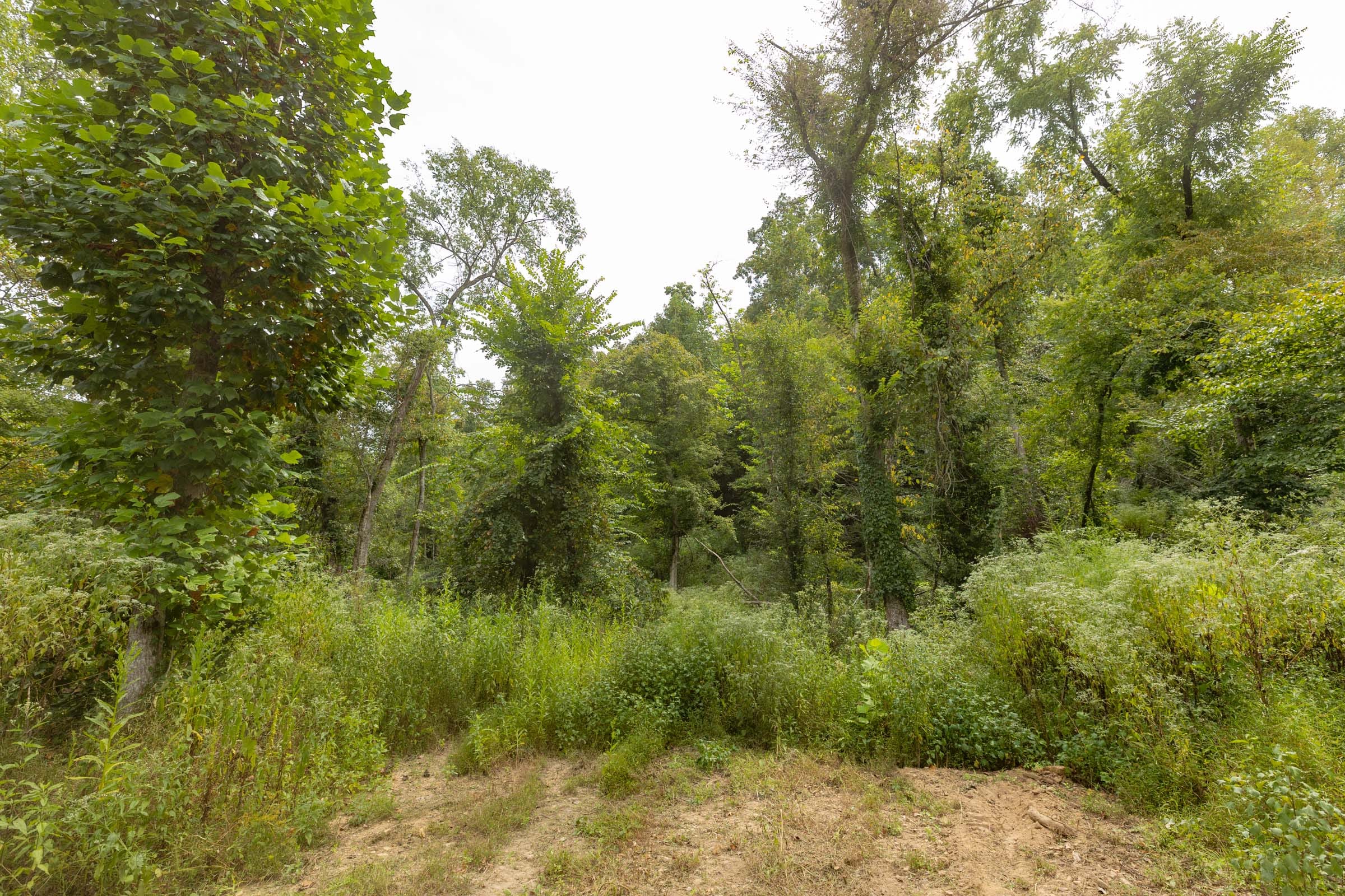 Big White Oak Tract 129 photo 1