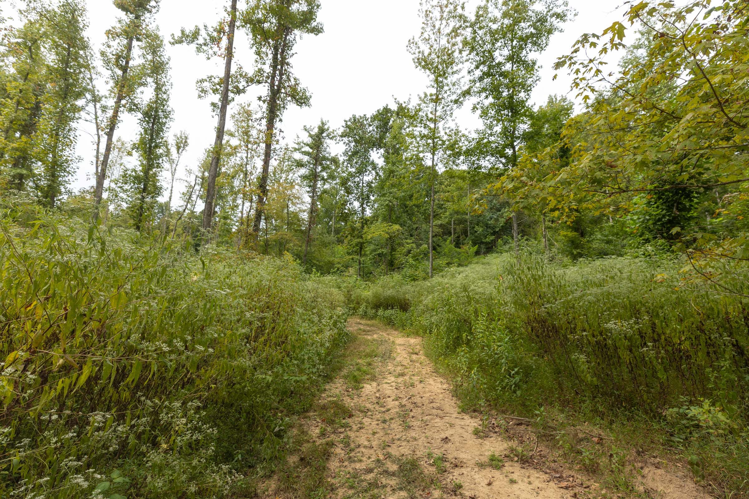 Big White Oak Tract 129 photo 17