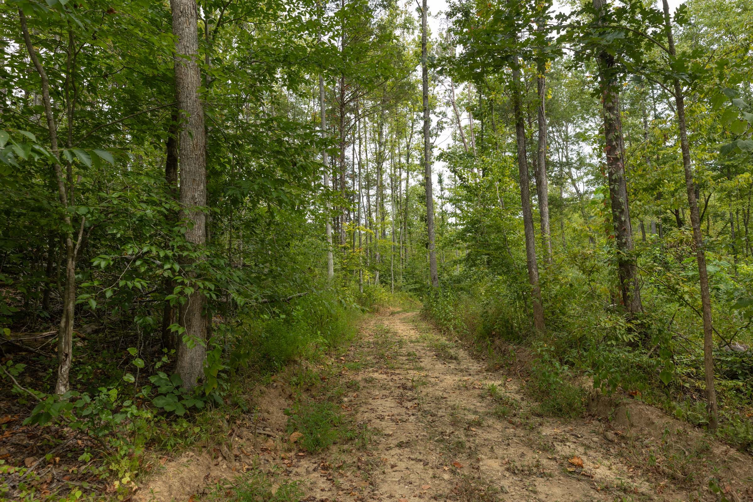 Big White Oak Tract 129 photo 14