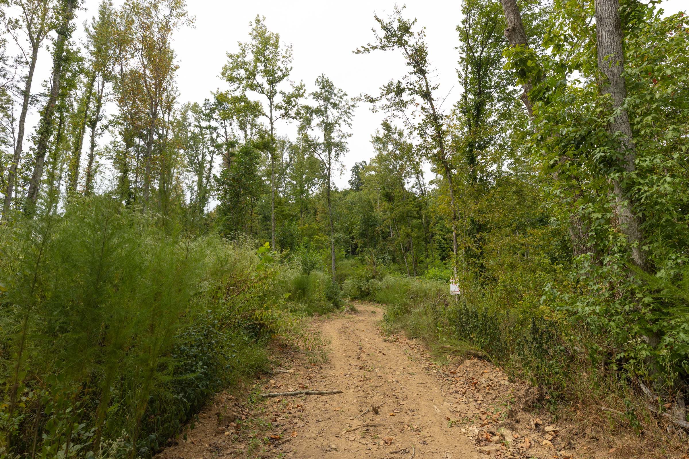 Big White Oak Tract 129 photo 10
