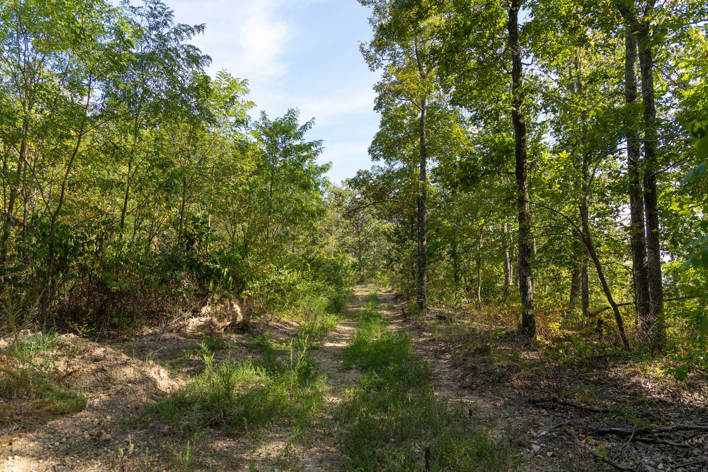 Big White Oak Tract 129 photo 2