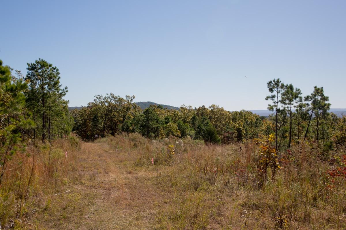 Stone Creek Phase I Tract 176 photo 3
