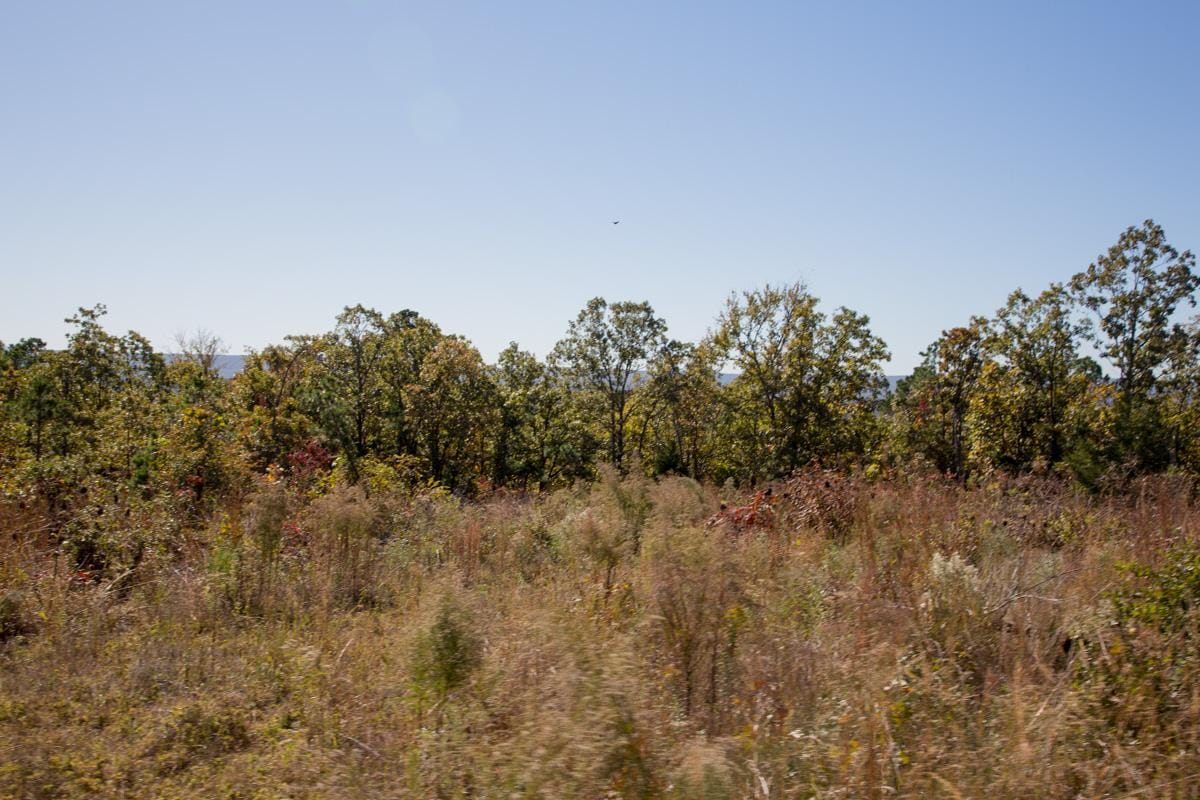 Stone Creek Phase I Tract 176 photo 4