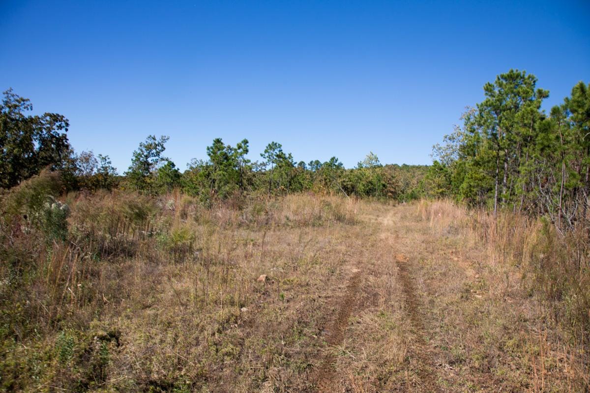 Stone Creek Phase I Tract 176 photo 5