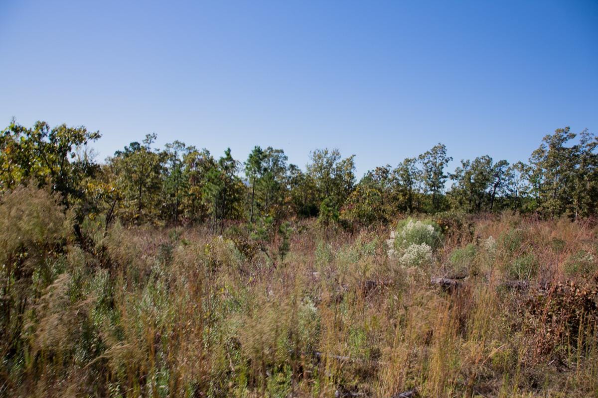 Stone Creek Phase I Tract 176 photo 6