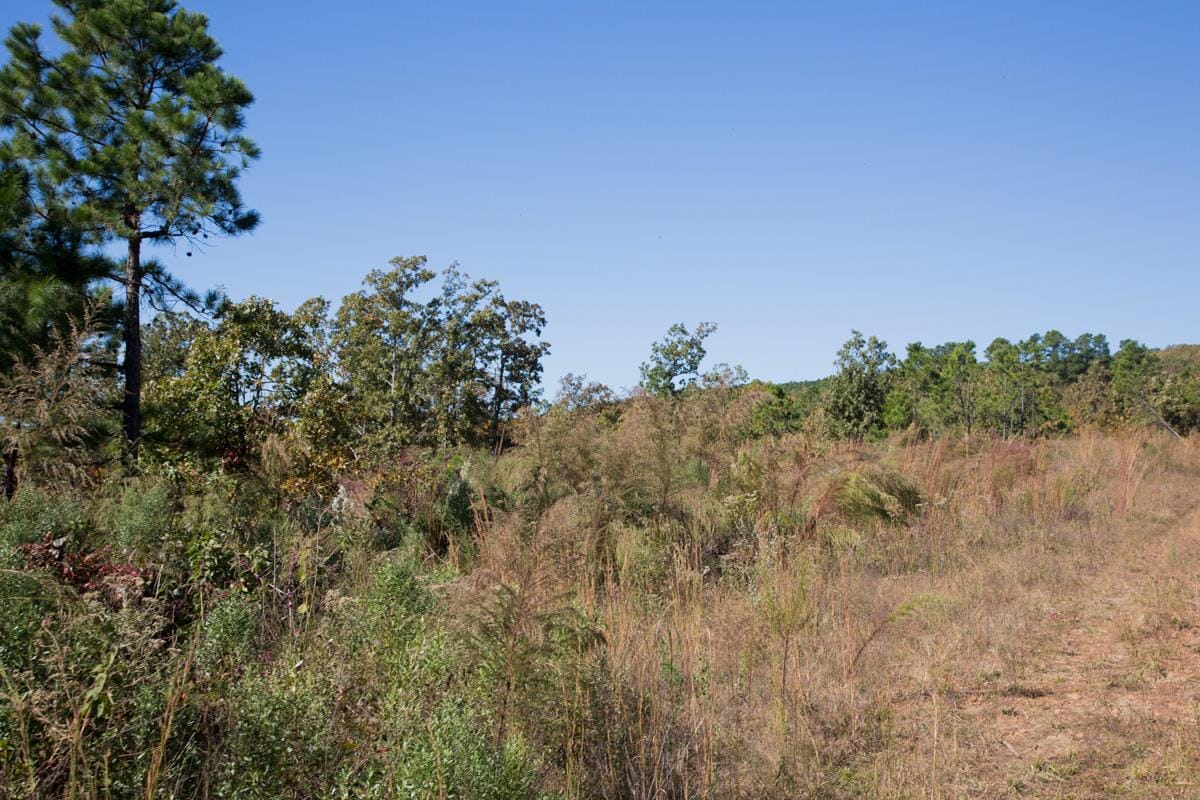 Stone Creek Phase I Tract 176 photo 7